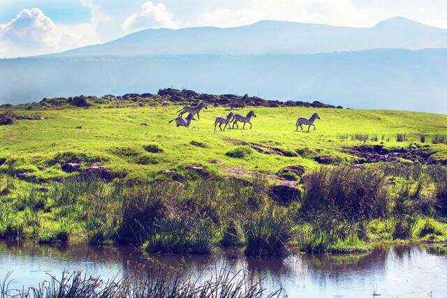 B体育app-马拉维战胜卢旺达，取得胜利