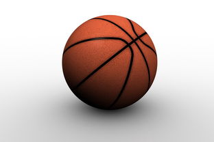 B体育新闻-蒙特雷球迷现场助威，激发球队夺冠斗志