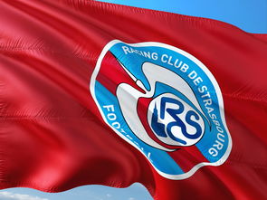 B体育电竞-西悉尼流浪者新星爆发，挑战帕尔梅拉斯防线坚固