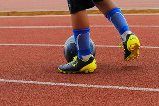 河床技战术演练密集，冲刺冠军全力以赴