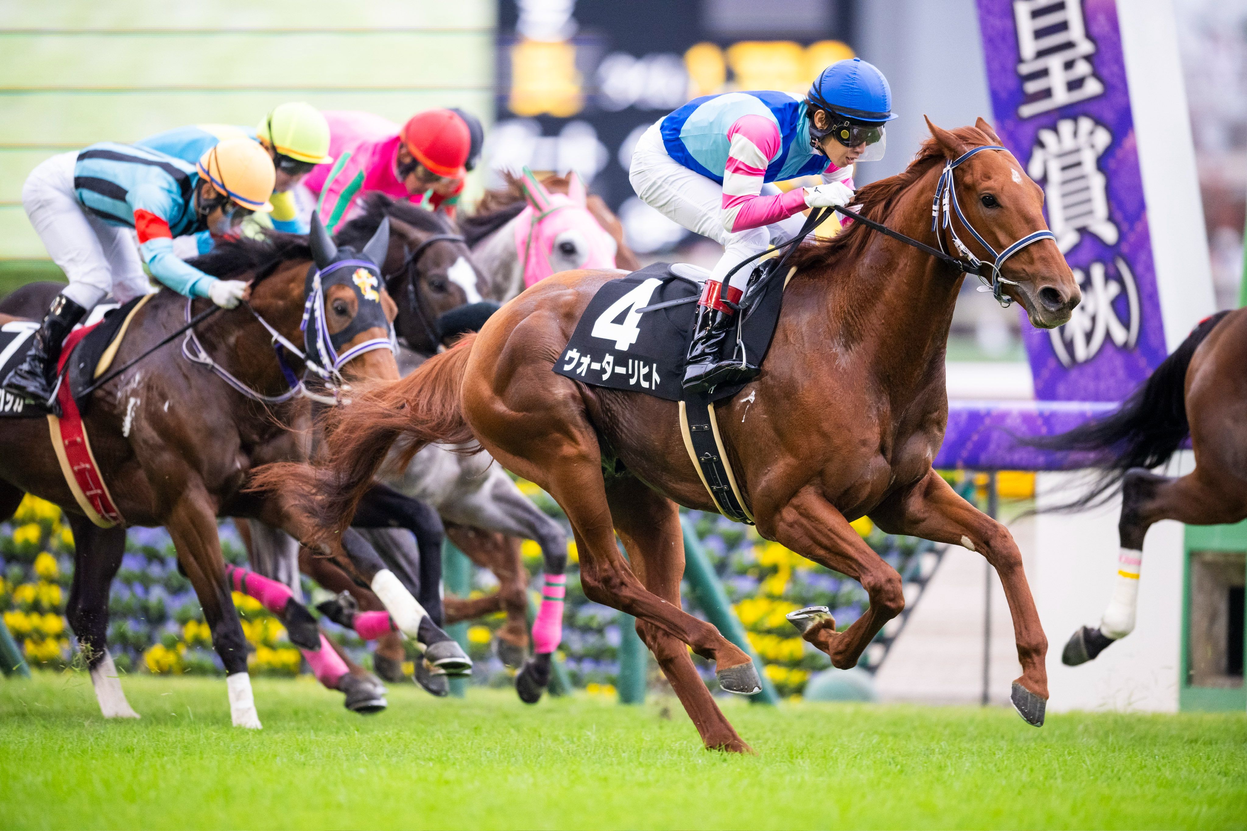 马赛主场战胜南特,取得胜利 马赛主场战胜南特,取得胜利
